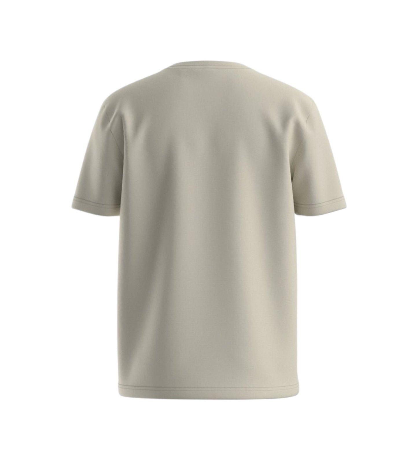 TS_Network Flag 10273414 01