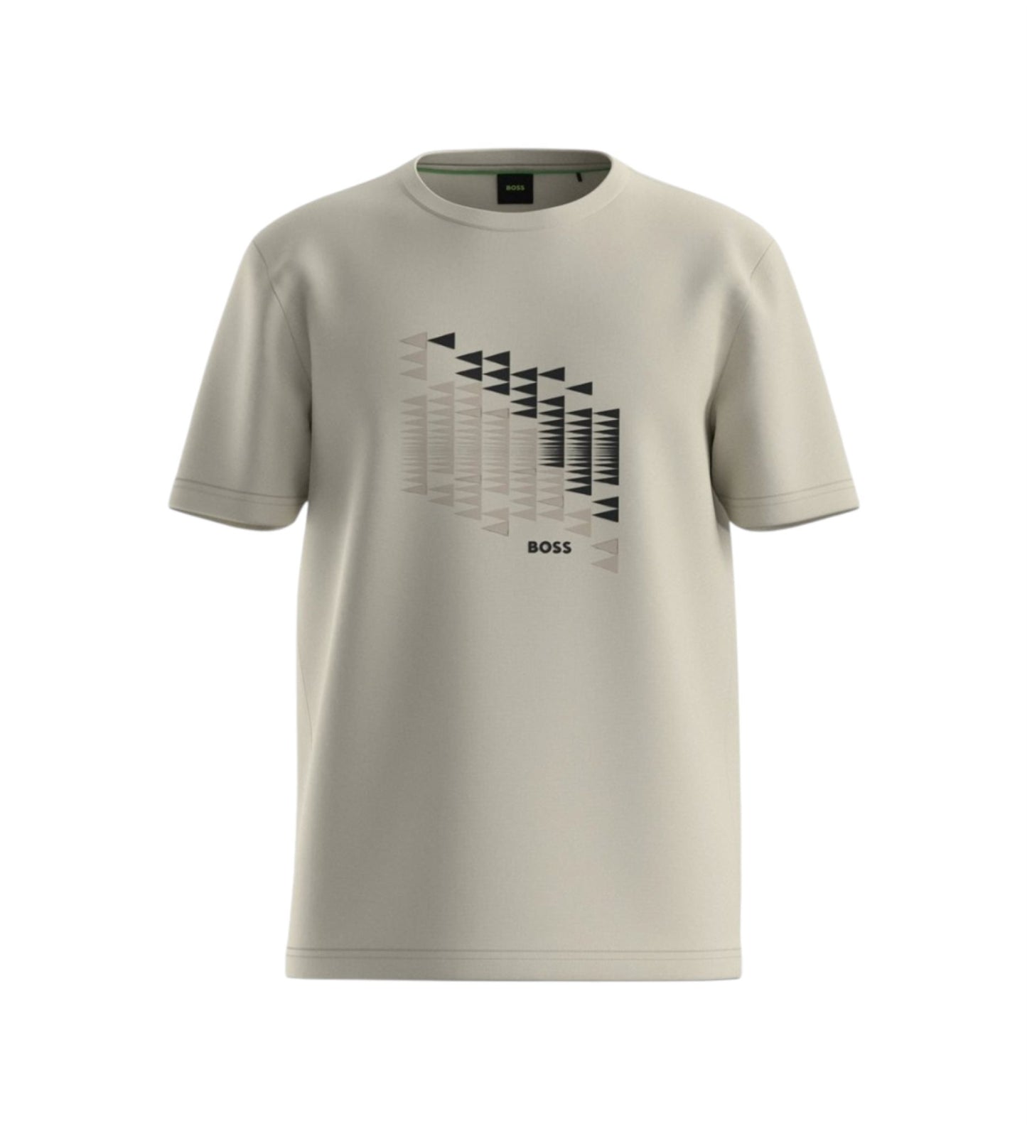 TS_Network Flag 10273414 01