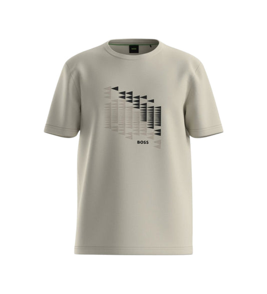 TS_Network Flag 10273414 01