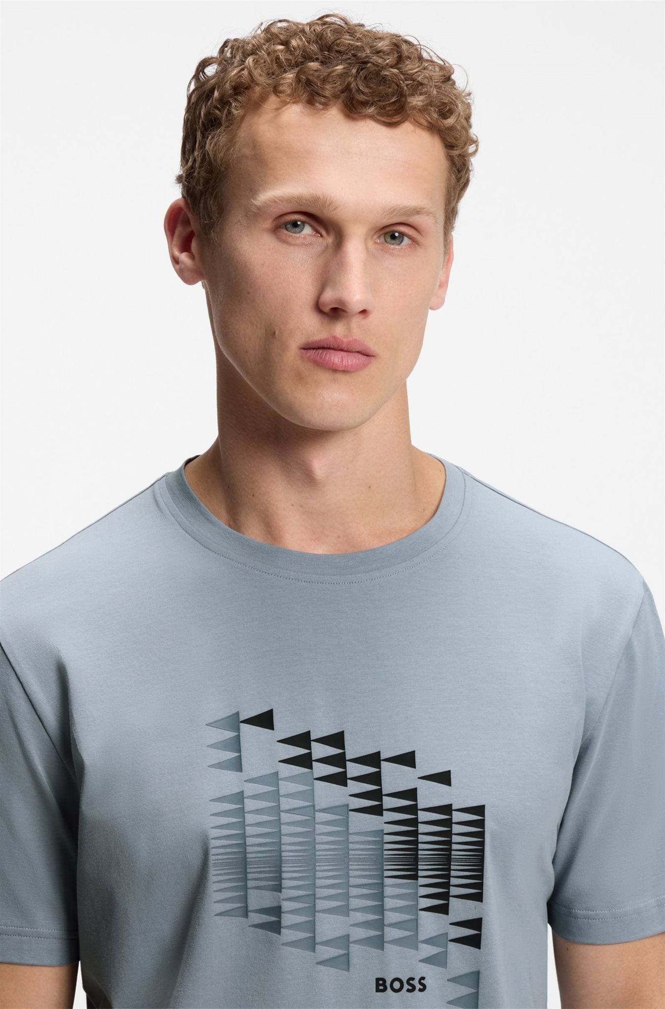 TS_Network Flag 10273414 01